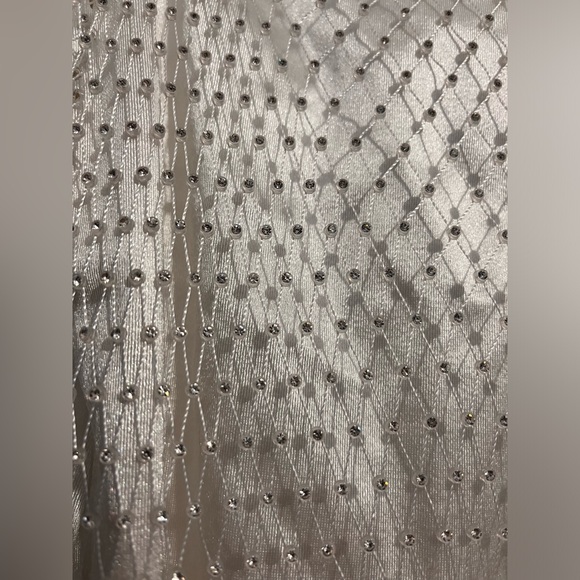 Sparkly Mesh Dress - Picture 2 of 2